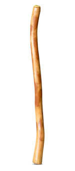 Medium Size Natural Finish Didgeridoo (TW1717)